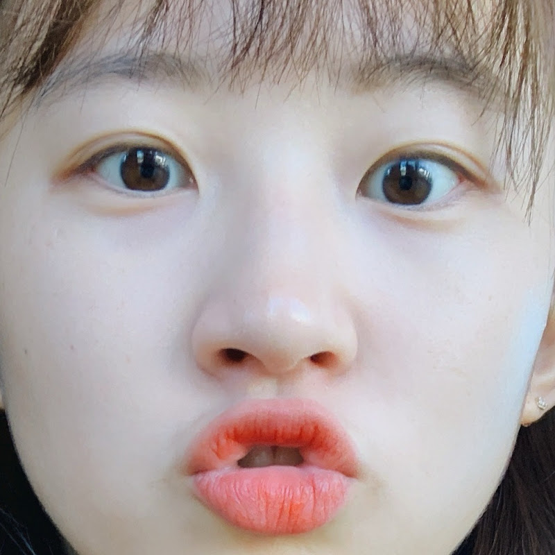 담비