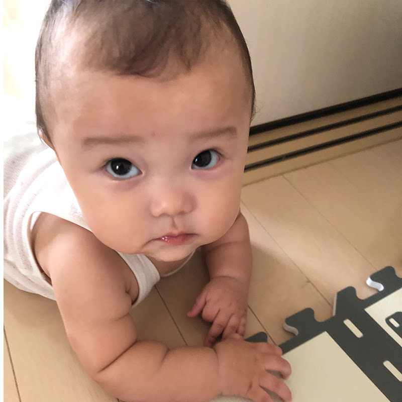 トムちゃんねる