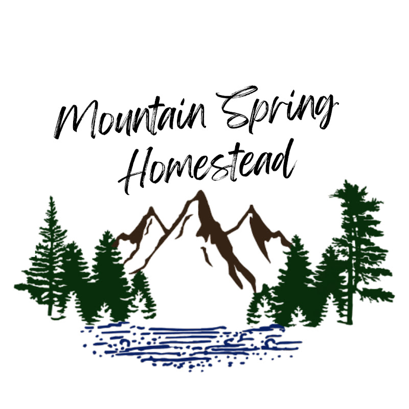 Mountain Spring Homestead