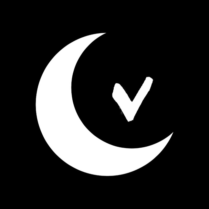 Vincent Moon / Petites Planètes