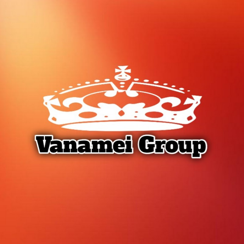 MP-Media Group 