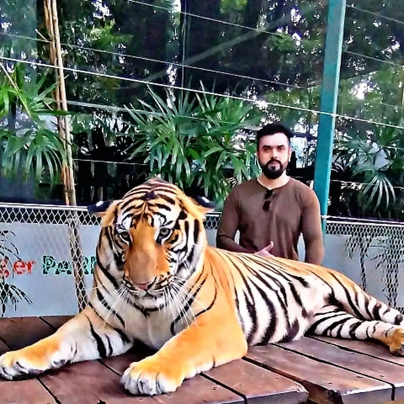 The Stalion Traveller