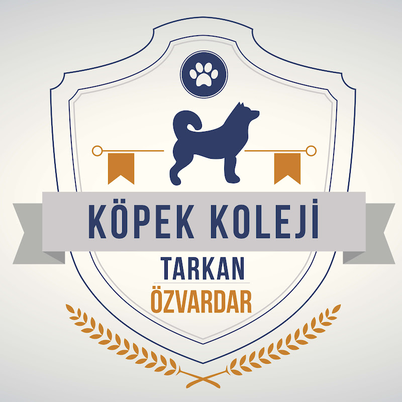 Köpek Koleji
