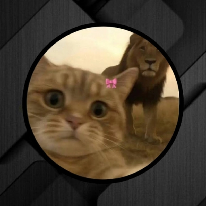 U Z AI R EDITS