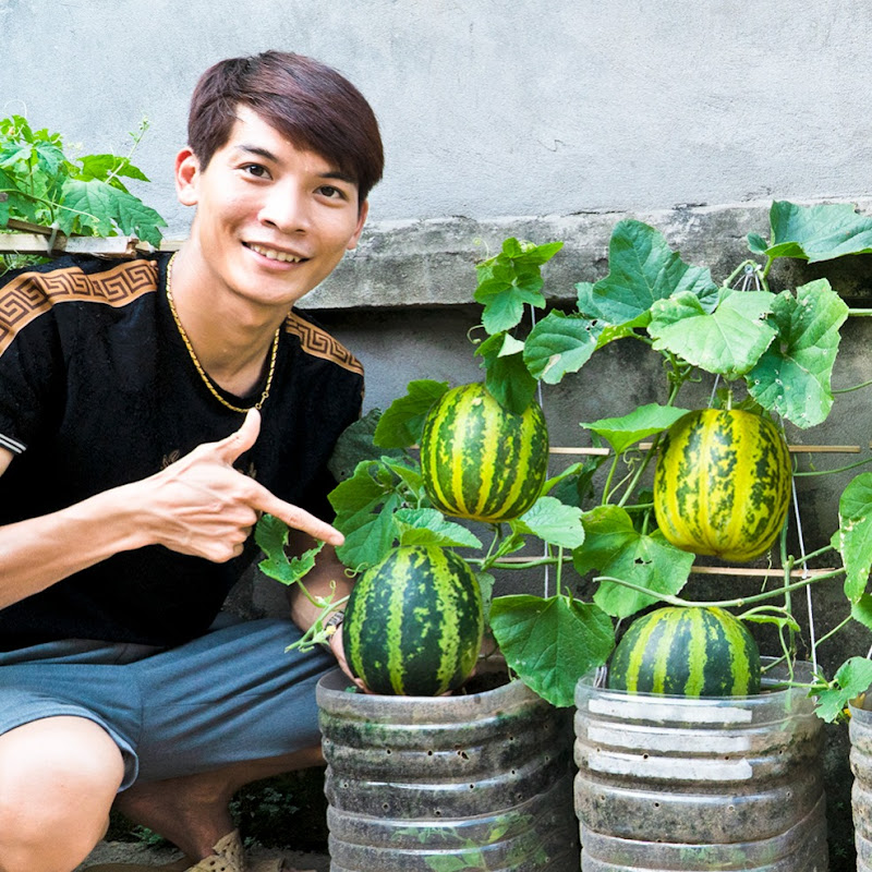 Terrace Garden