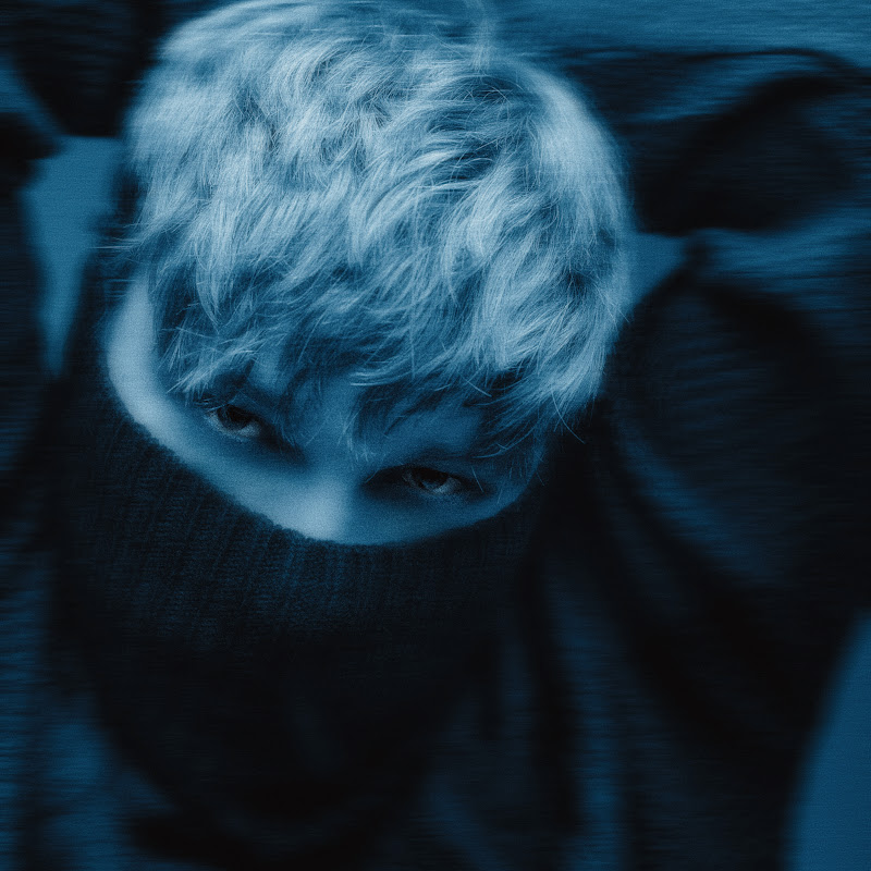 Darci