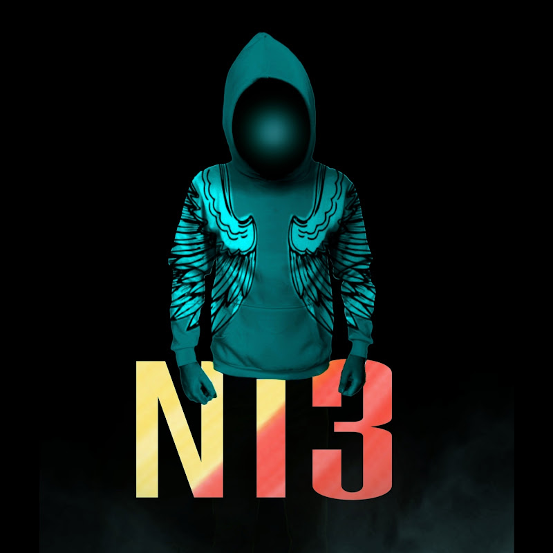 Ni3 EDITZ