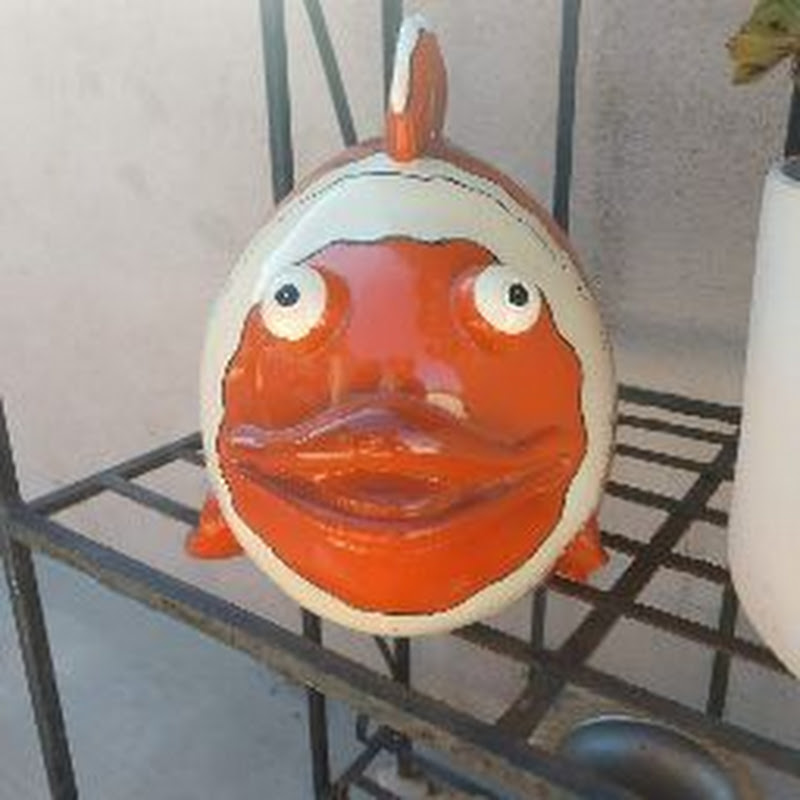 Fisch Noices