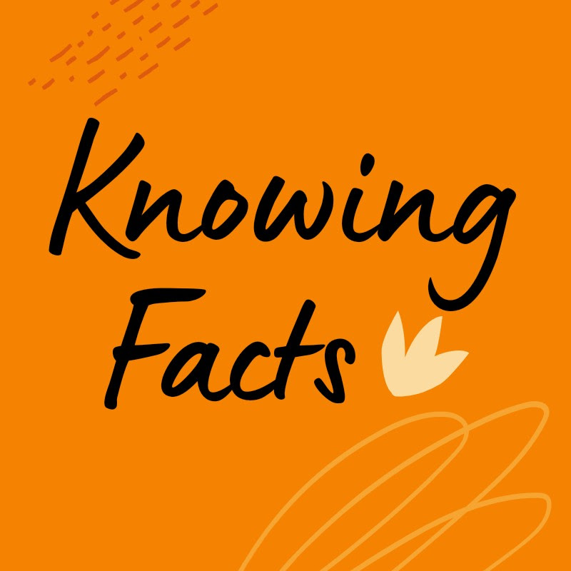 Knowing Facts