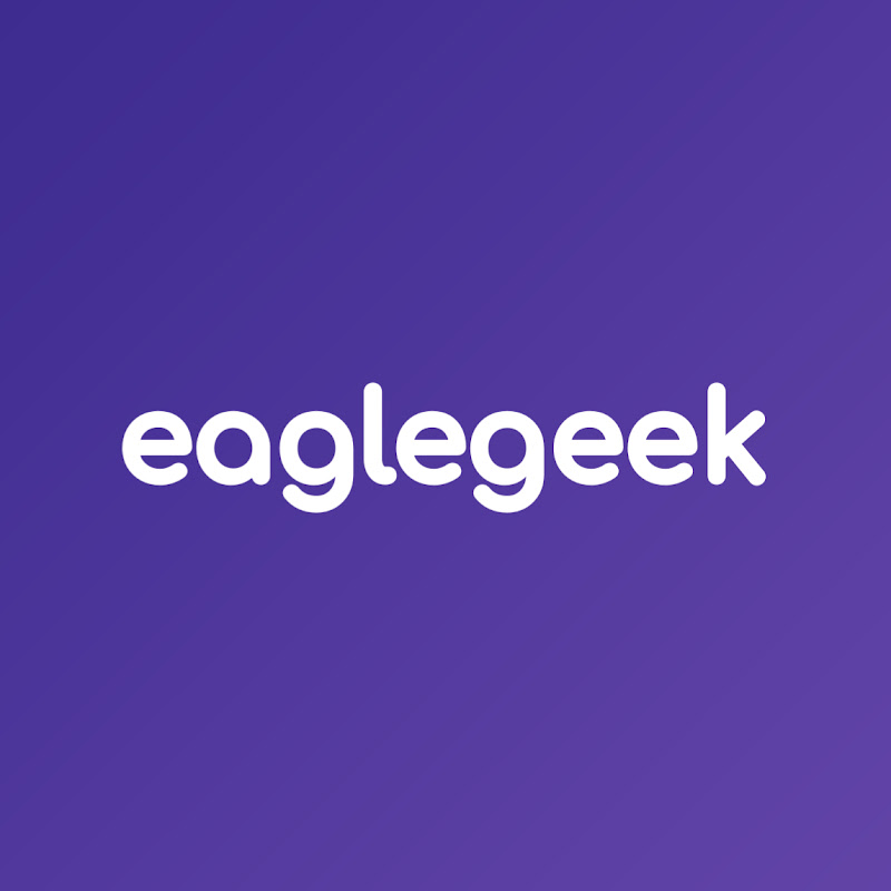 EagleGeek