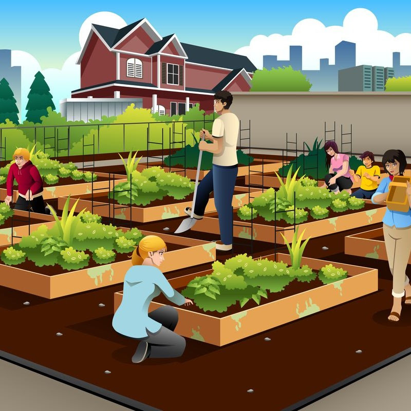 DIY Urban Gardening