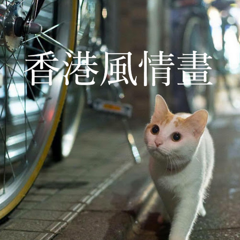 香港風情畫 Mitch Lam 