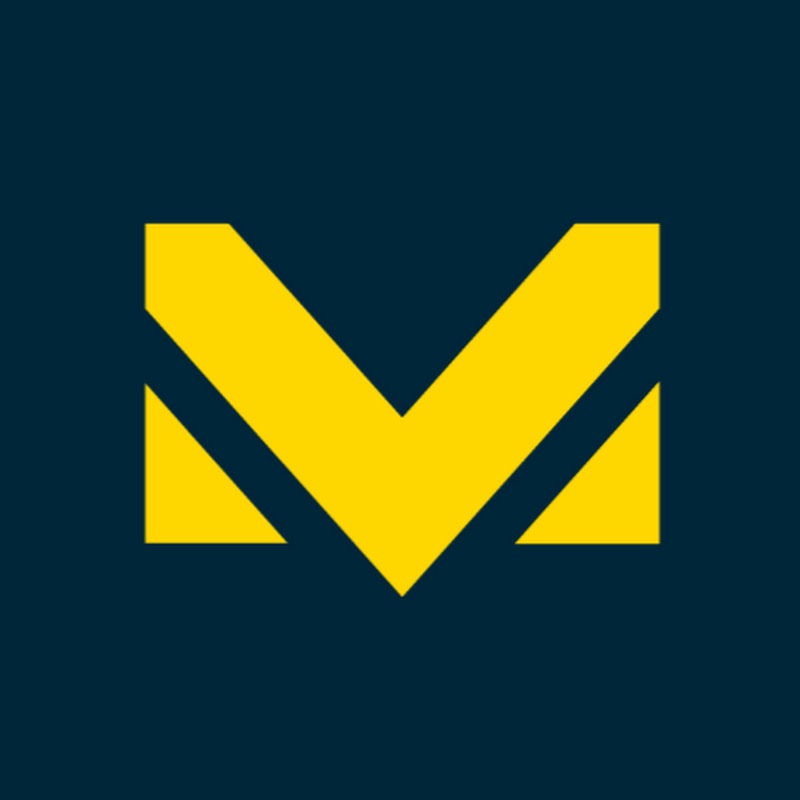 Motorvision International