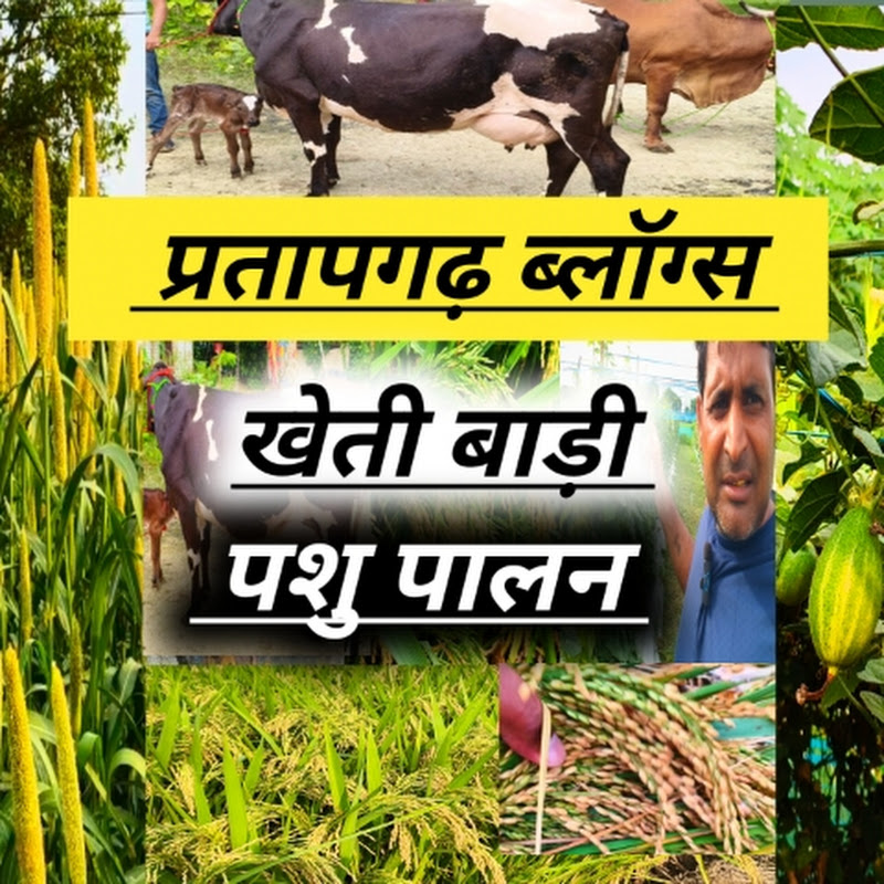 pratapgarh blogs