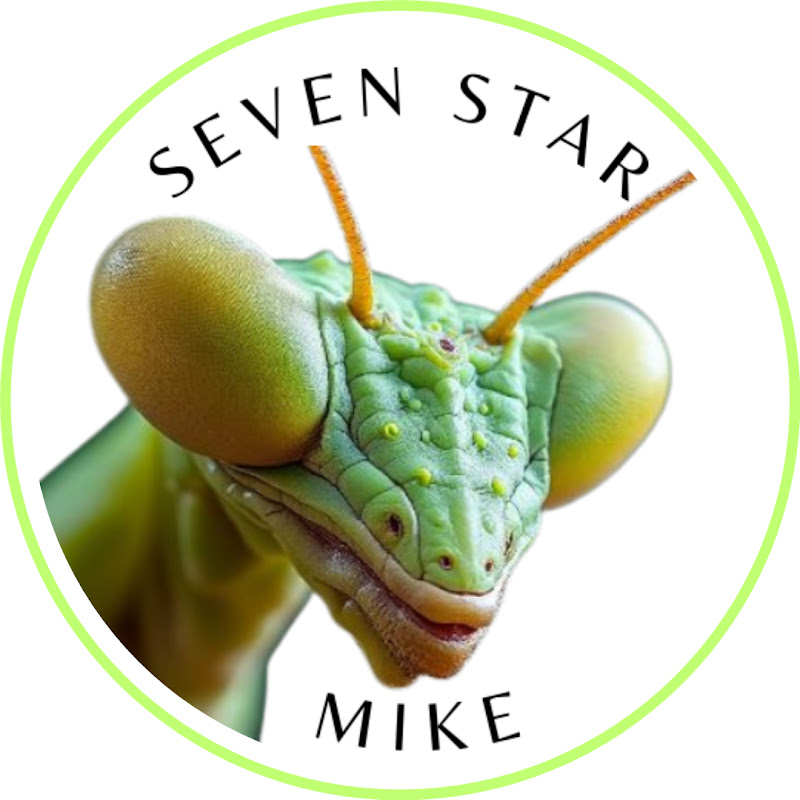 Seven Star Traders