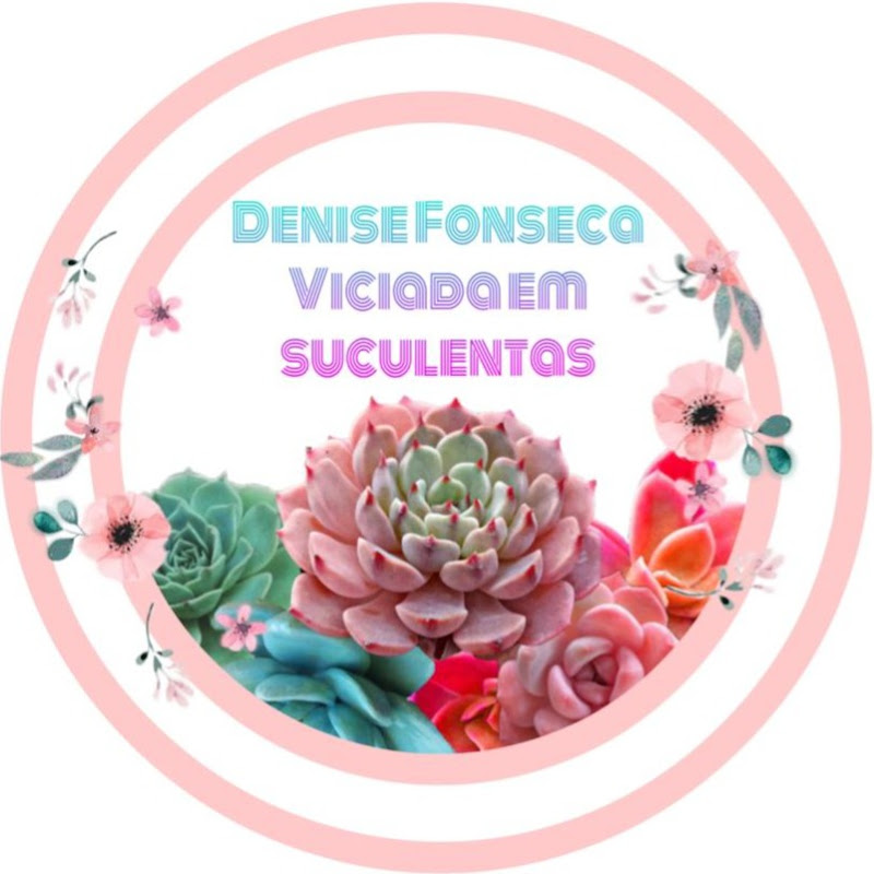Denise Fonseca Viciada em Orquídeas e Suculentas
