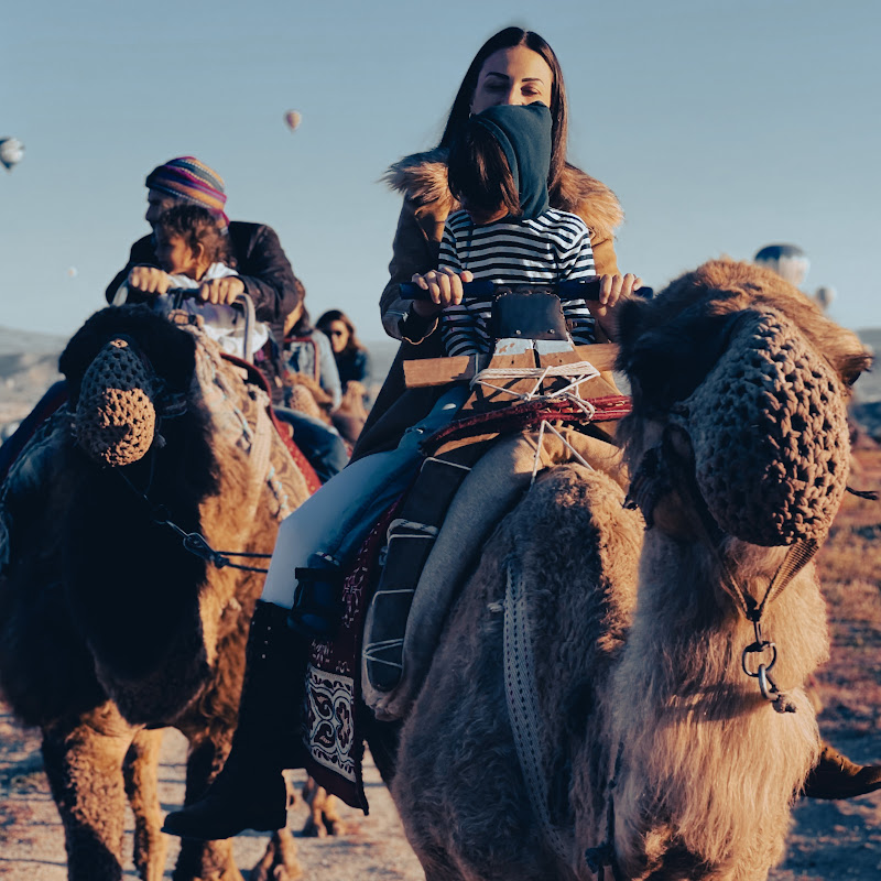 Meet The Nomads