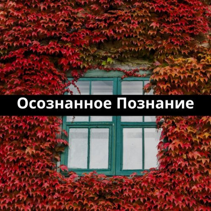 Осознанное Познание