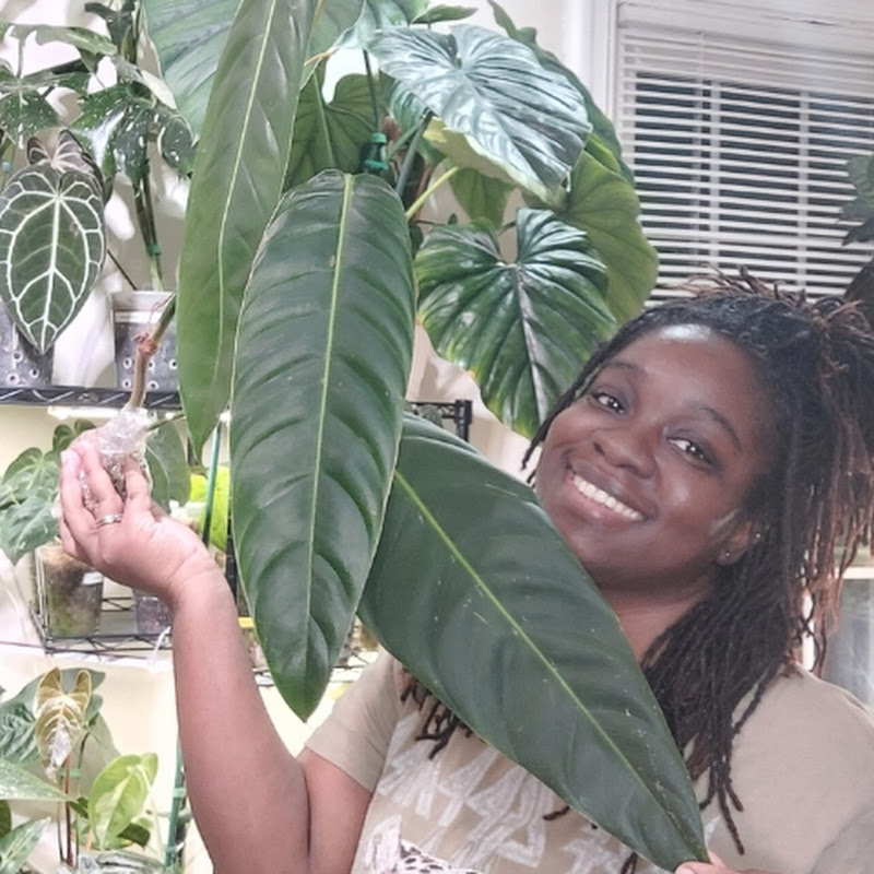 MyLocsMyPlants