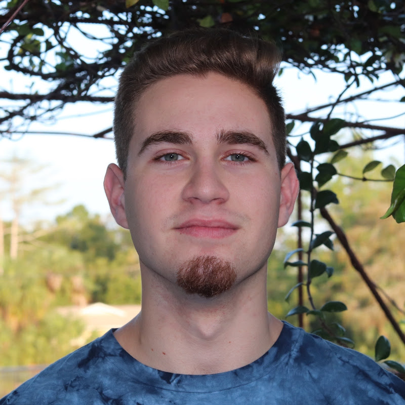Davidjustinn