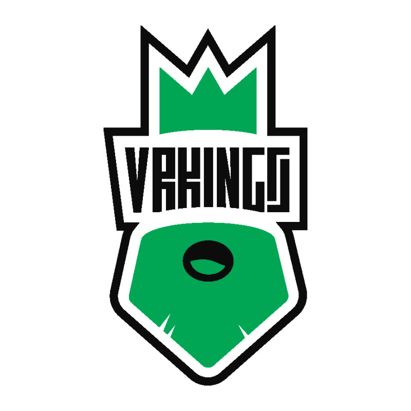 VR KINGS