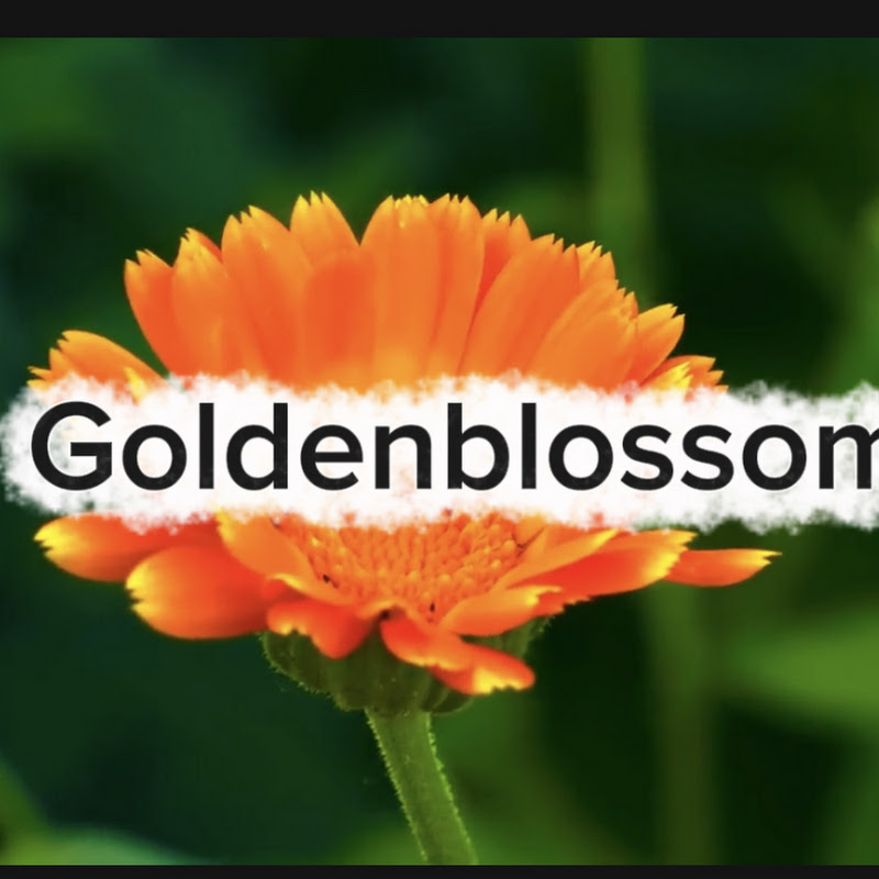 Goldenblossom 