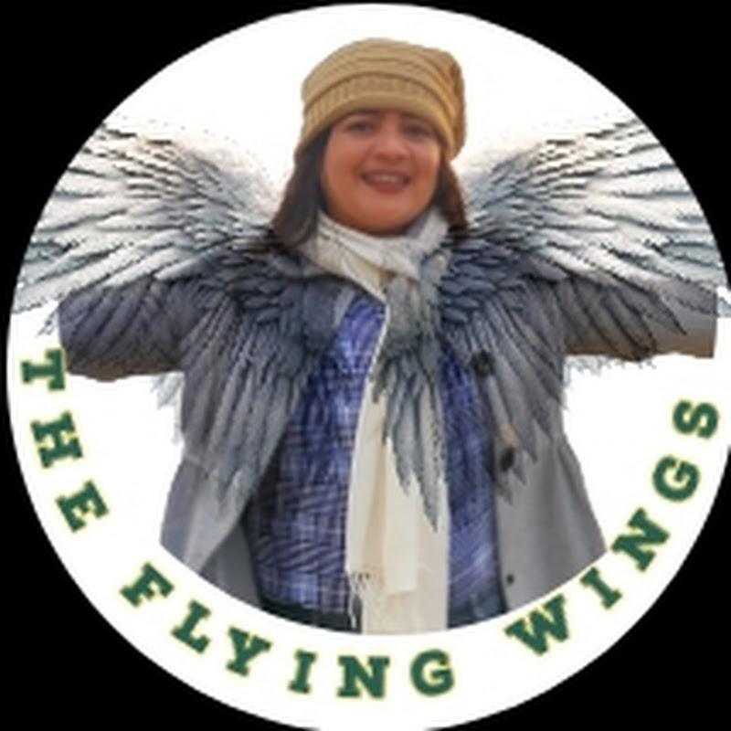 The Flying Wings 07