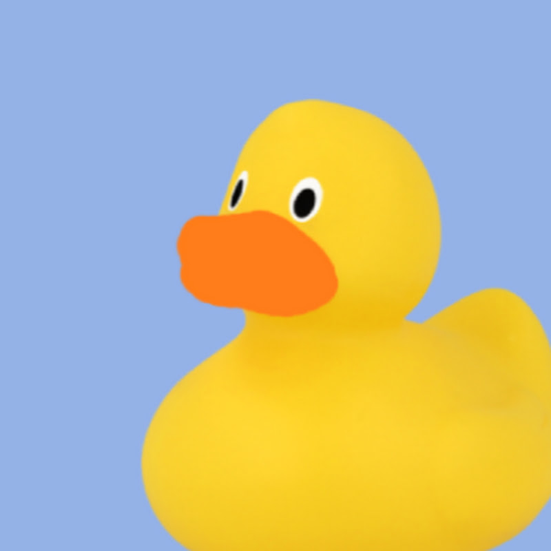 fakeduck