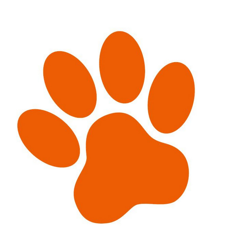 DierenpraatTV