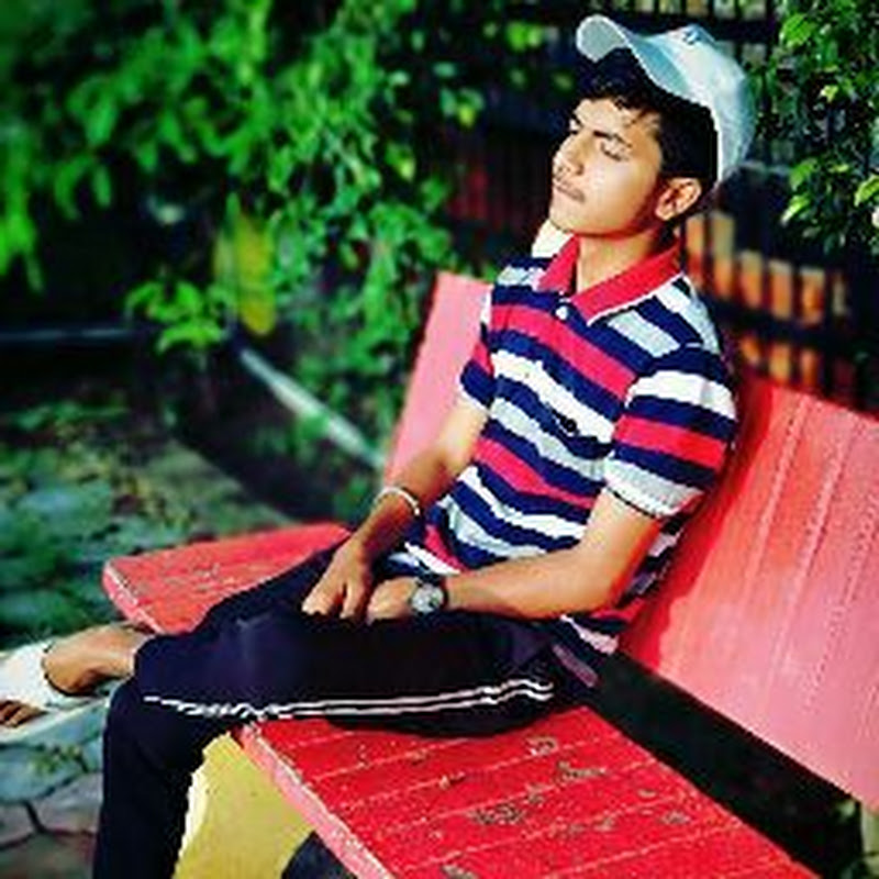 Ankush The Vlogs