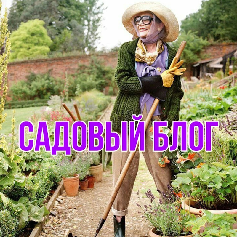 Садовый Блог