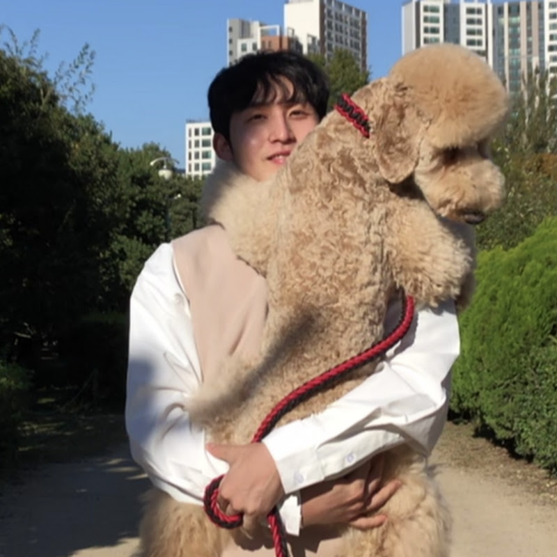 천재견 사월이sawol