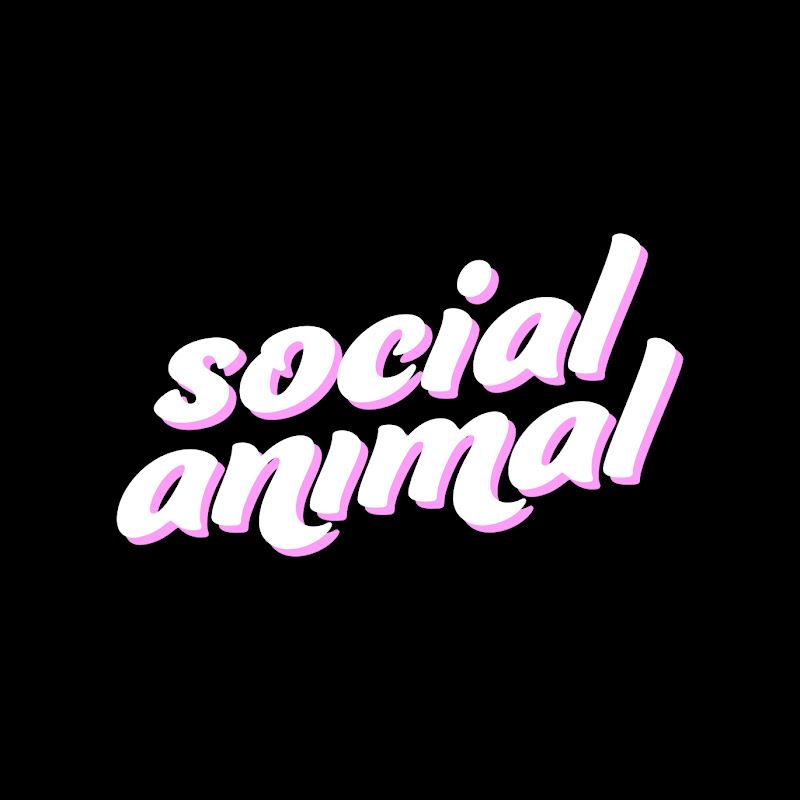 Social Animal