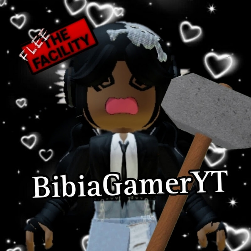 BibiaGamerYT♡