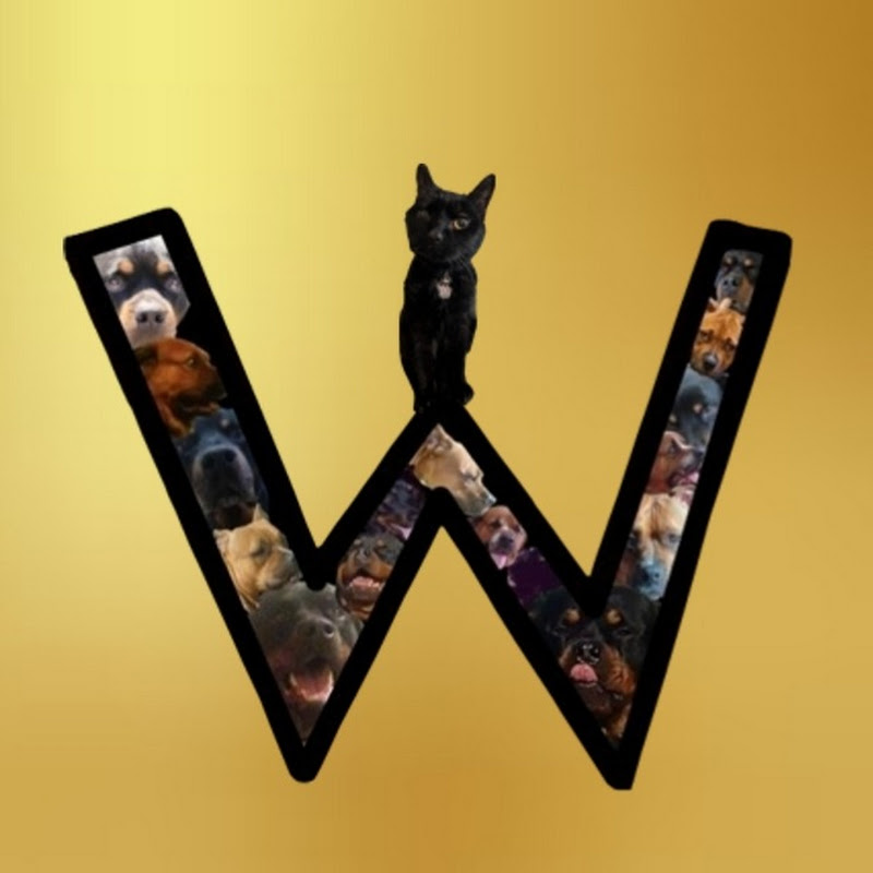 WILLDOG