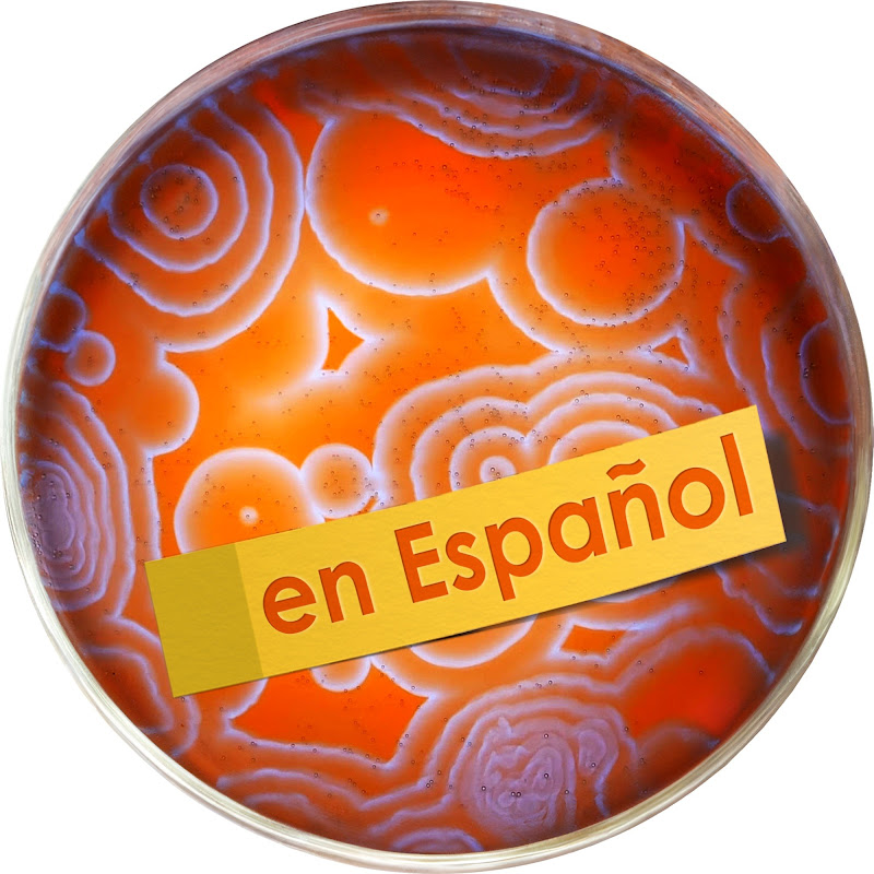 NileRed en Español