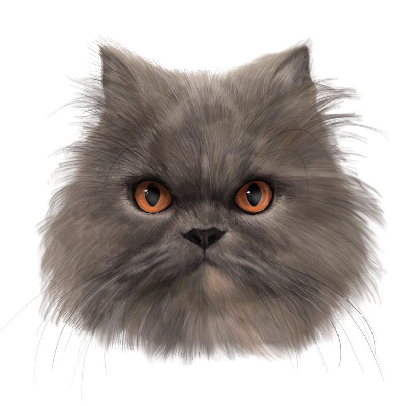 CAts 貓貓們