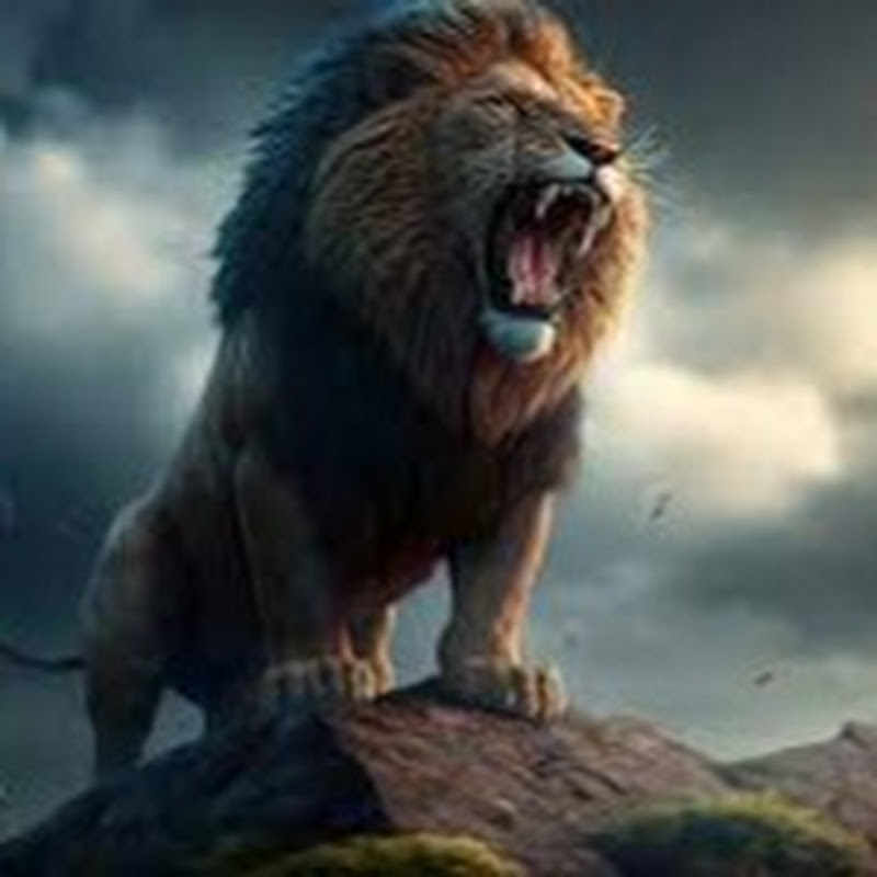 The Lions Den 45