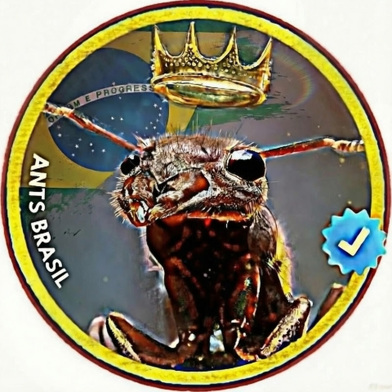 Ants Brasil