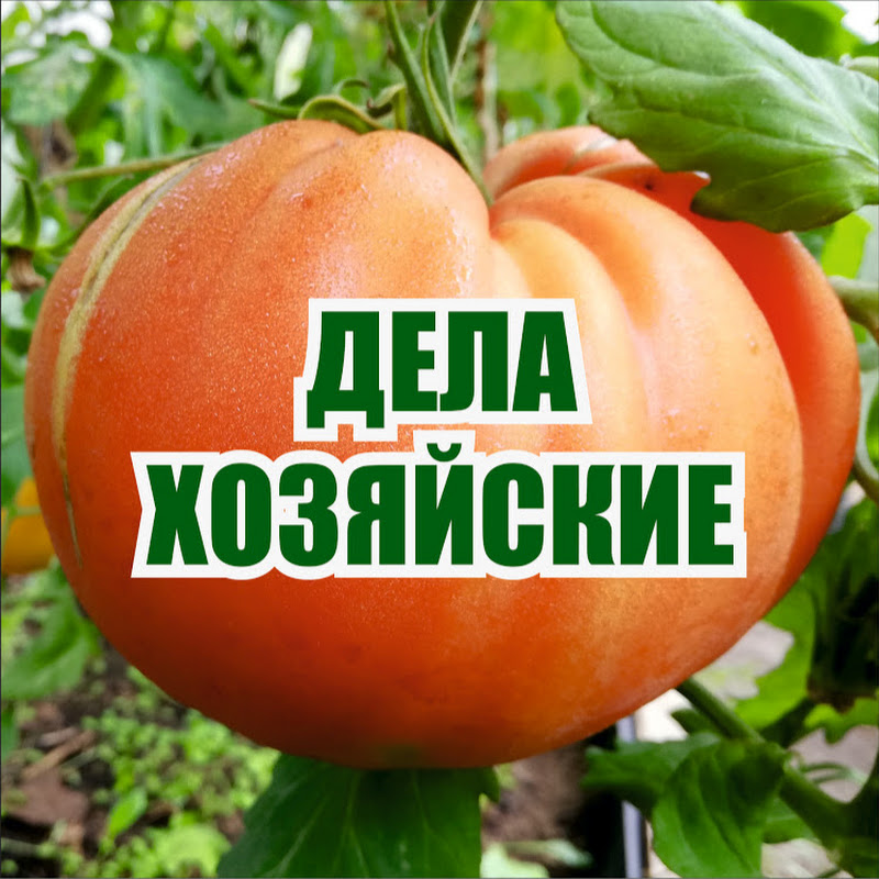 Дела Хозяйские