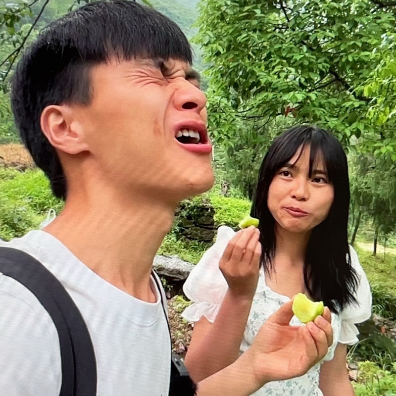 山有俊琴 Shan You Junqin
